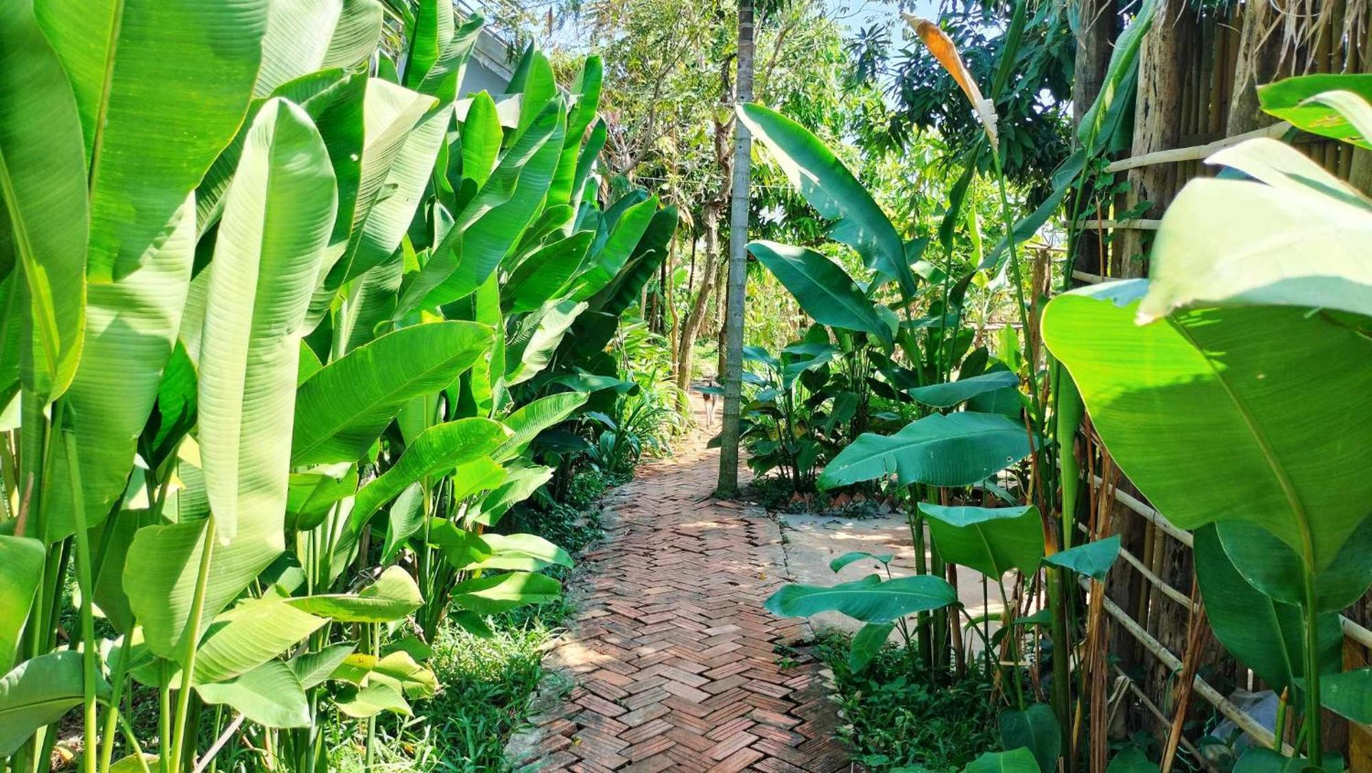 Urban Farmhouse Siem Reap Eksteriør billede