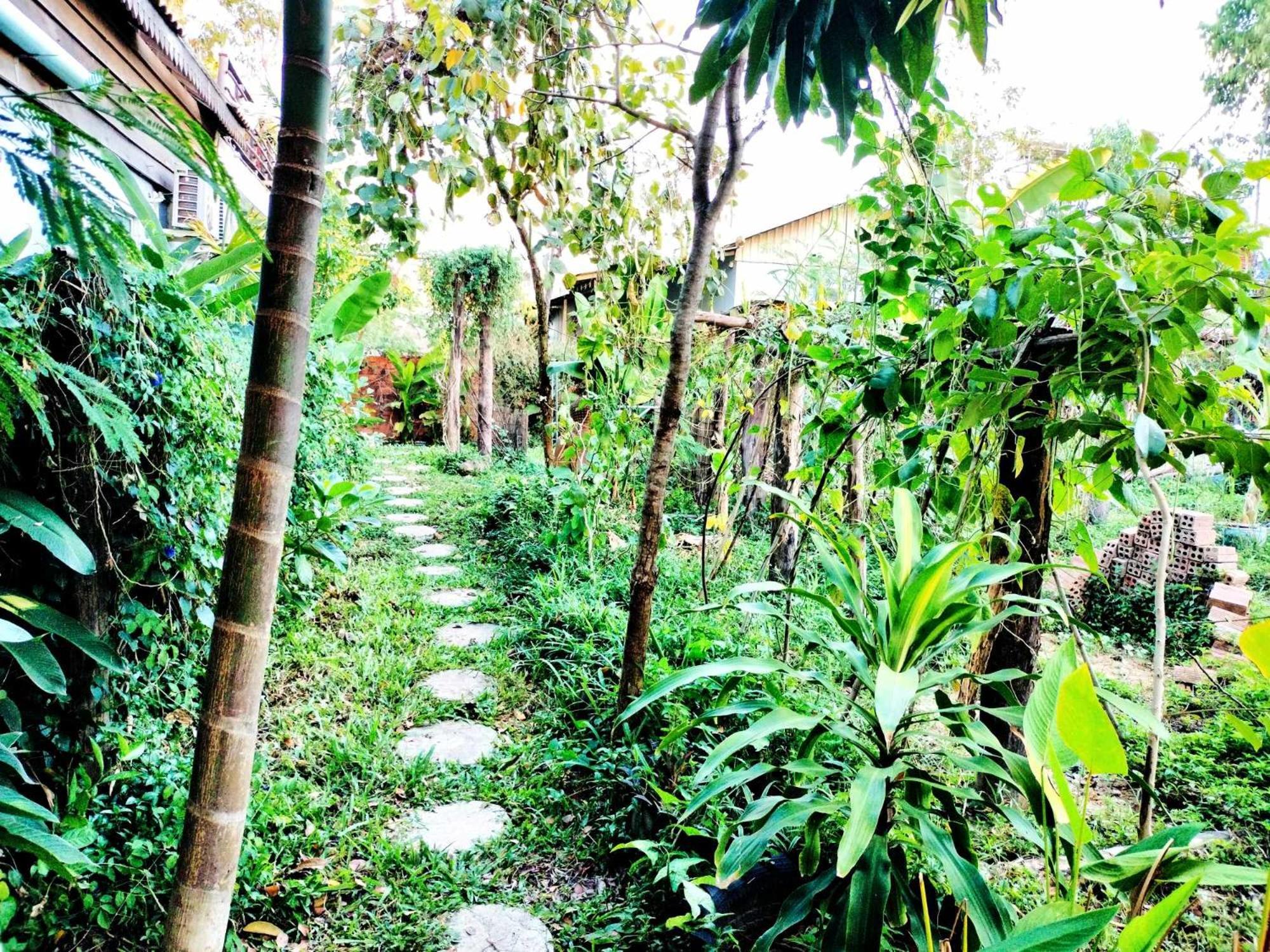 Urban Farmhouse Siem Reap Eksteriør billede