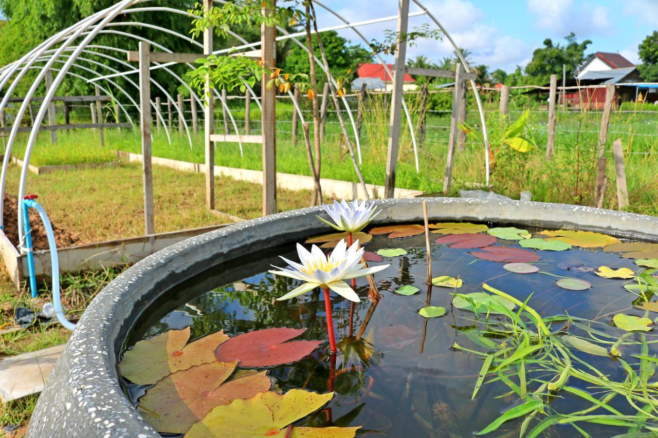 Urban Farmhouse Siem Reap Eksteriør billede